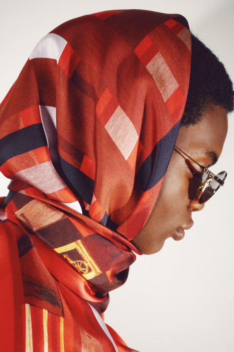Celine silk campaign Michael Rider