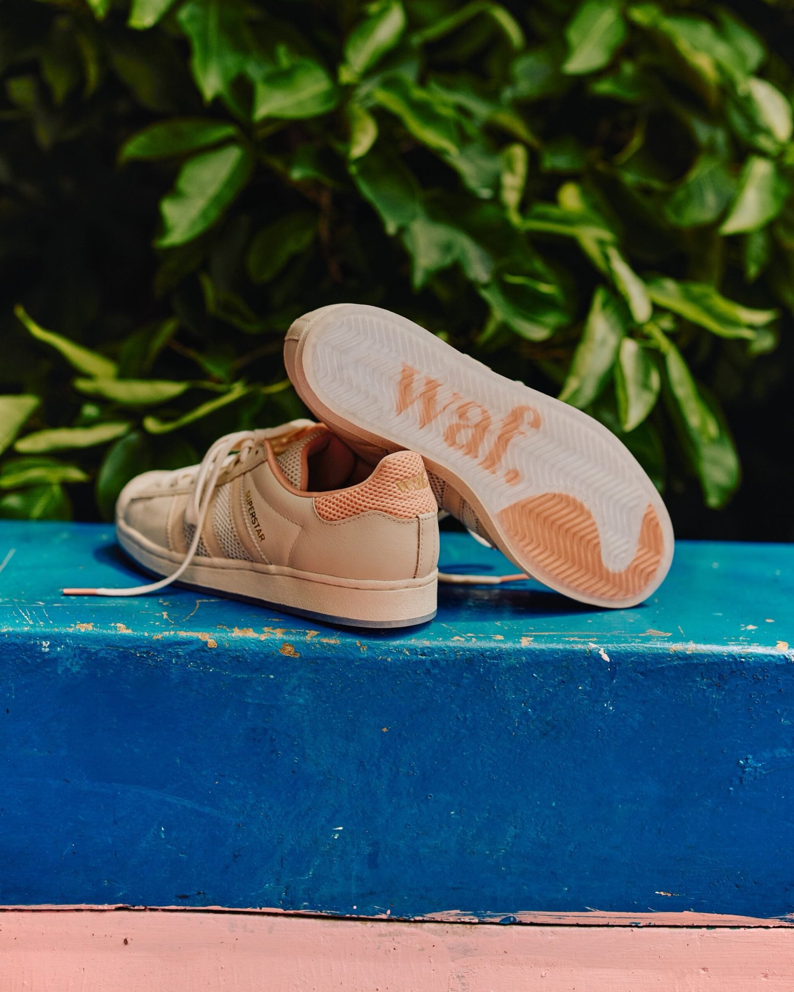 waf x adidas Superstar ADV